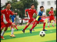 中超直播_中超无插件免费高清直播_中超直播多机位