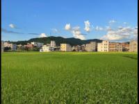 山东泰山VS青岛海牛直播_山东泰山VS青岛海牛免费直播高清无插件秒开_山东泰山VS青岛海牛直播实时赛况